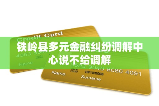 鐵嶺縣多元金融糾紛調解中心說不給調解